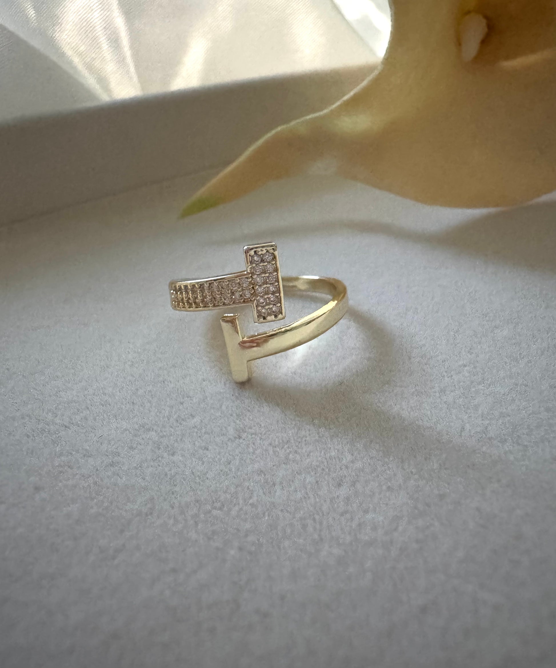 Anello CRIS