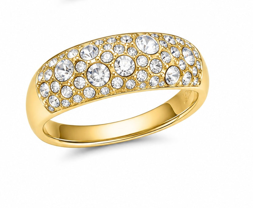Anello BORA