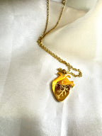 Collana CUORE ANATOMICO