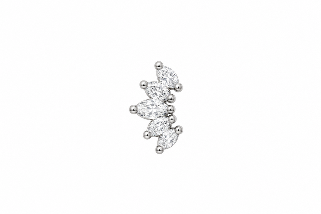 PIERCING per helix, flat, conch, tragus