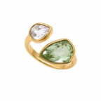 Anello FIJI