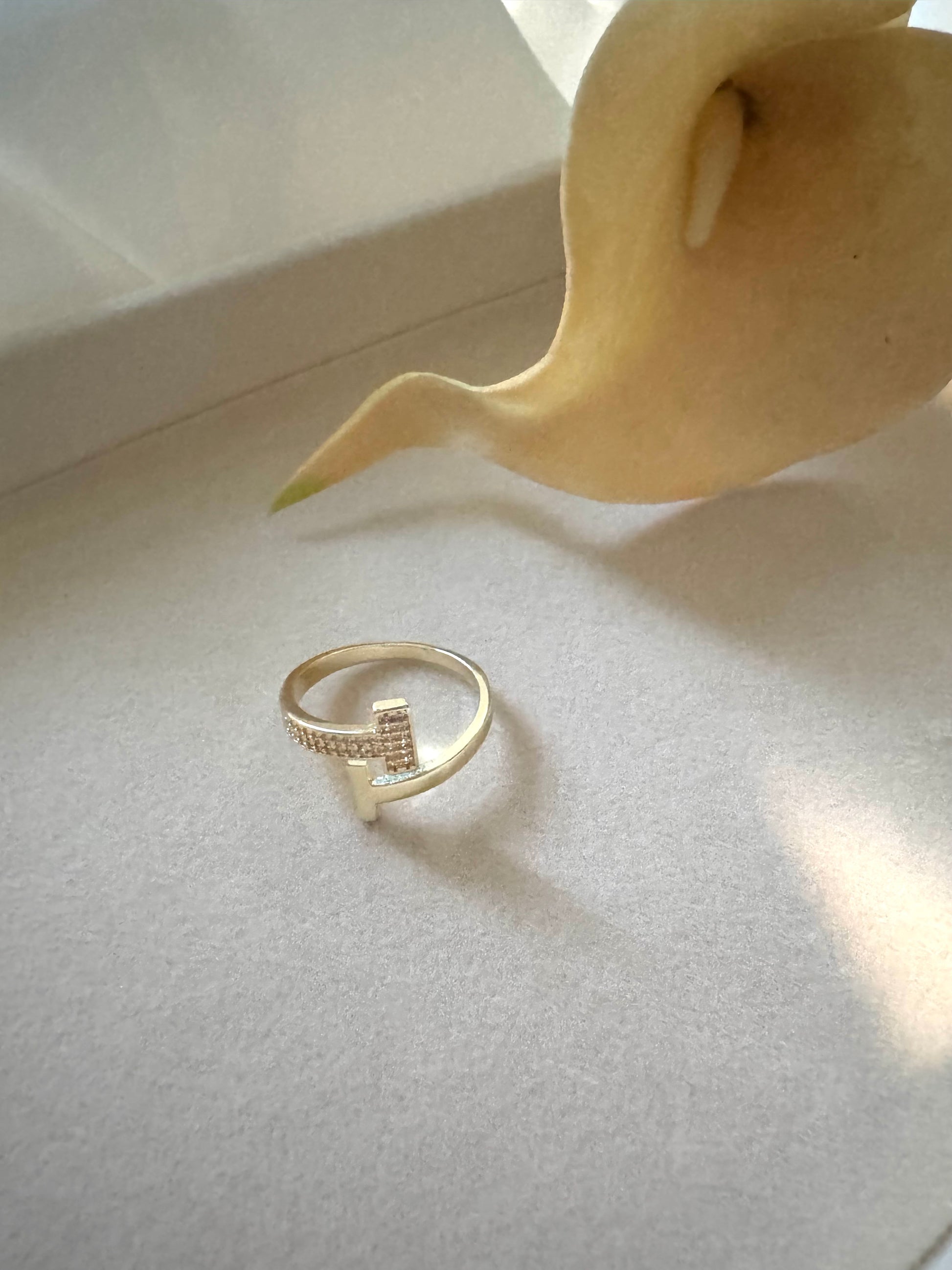 Anello CRIS
