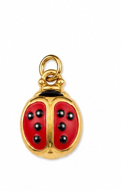 Ciondolo 🐞🏡