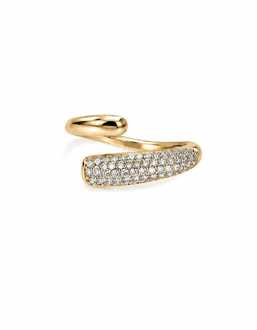Anello POMI