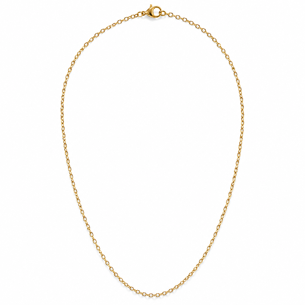 Collana ASI